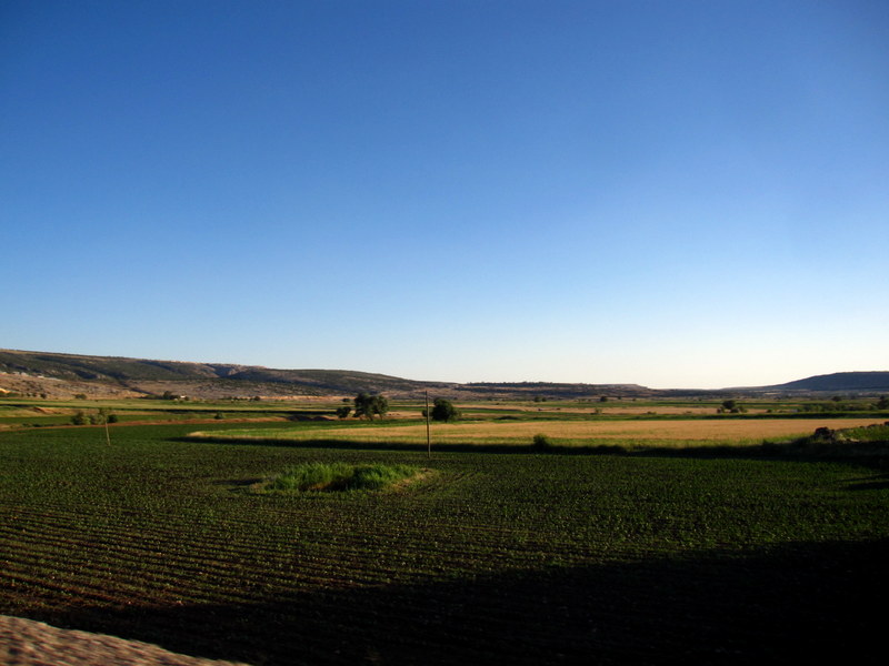 Yavuzeli ovası, Osman Ünlü by Osman Ünlü