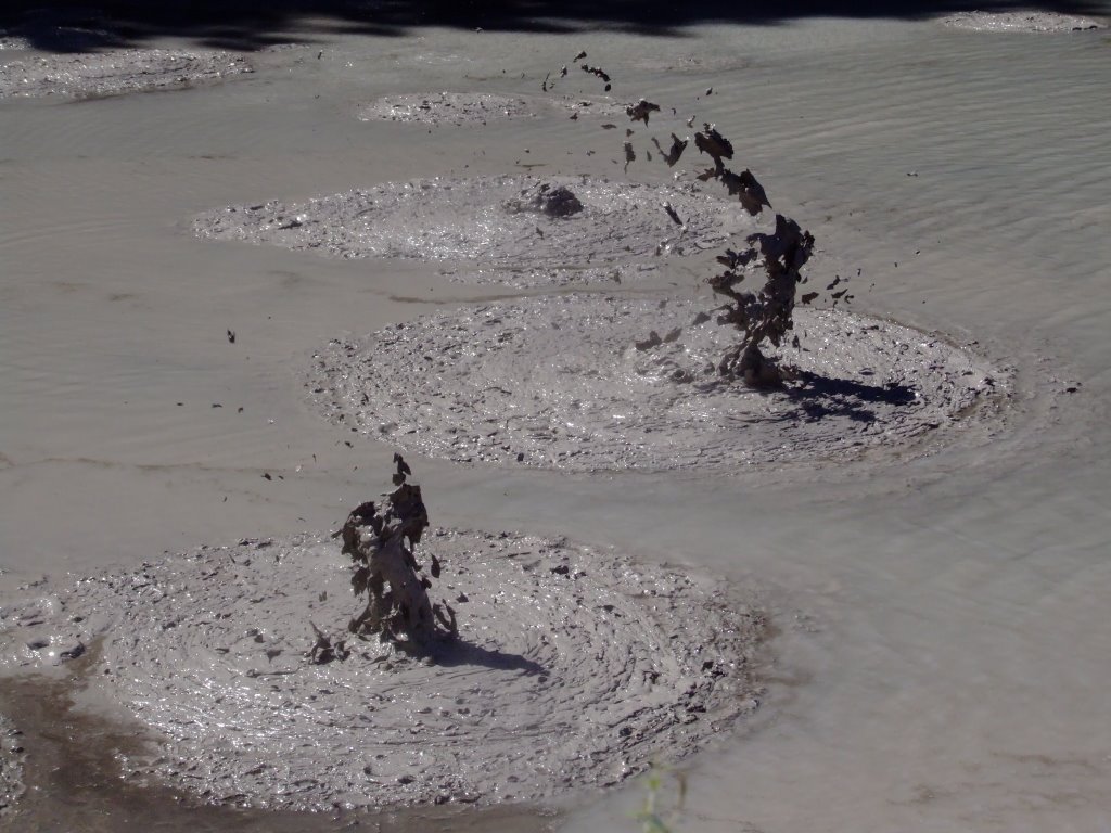 2008.03.16 - Mud Pools - near Wai-O-Tapu by David R Williams