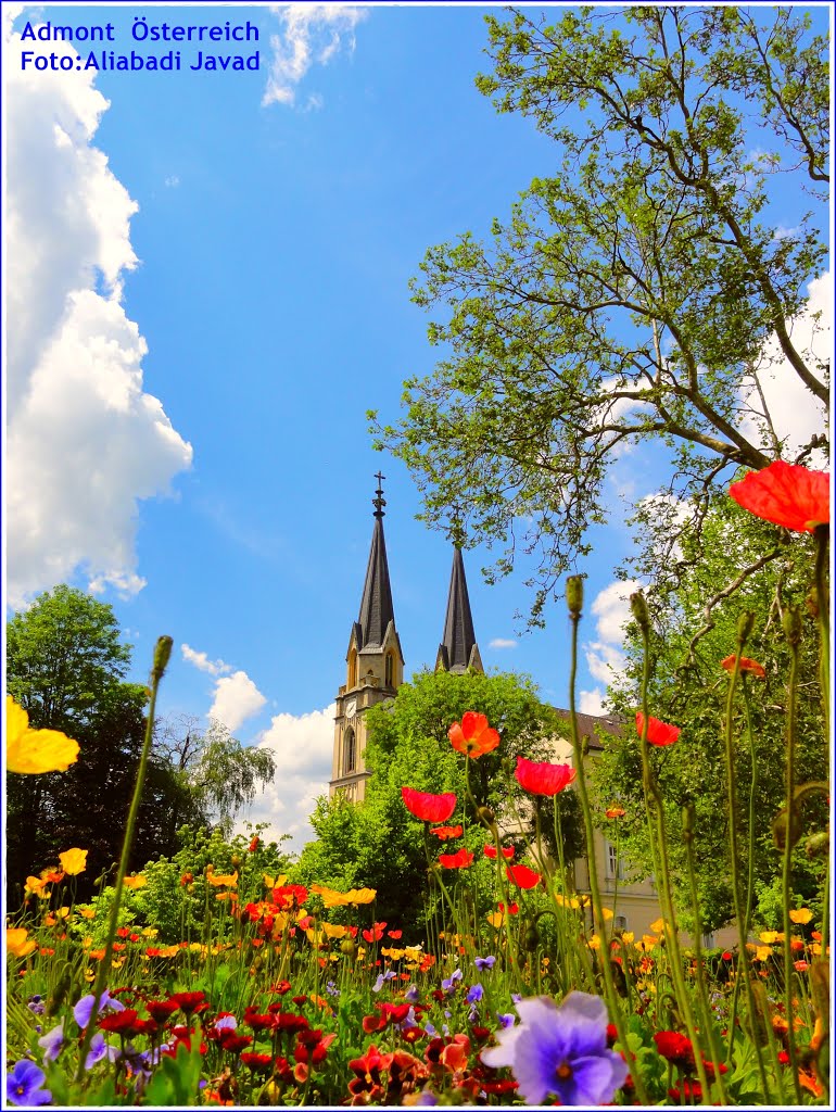 Foto: Aliabadi Javad - Stift Admont Österreich by Aliabadi Javad (Tajmah)