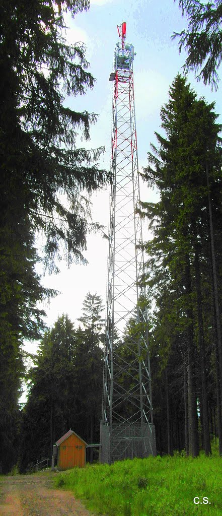 Mobilfunkmast auf dem Kuhberg (1) by christophrudolf