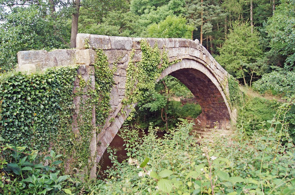 Beggar's Bridge 03 by coljay72