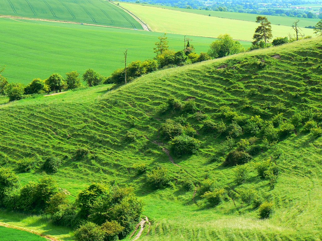 Combe near Alton Priors (south-west) by Brian B16