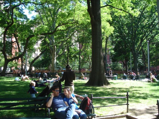 Washington Square by Jamie Chen