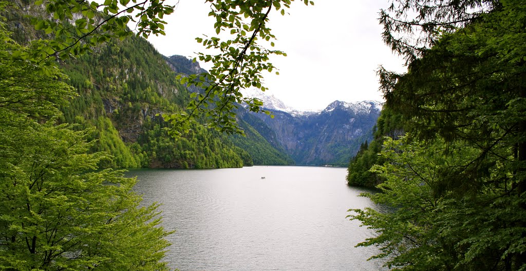 Königsee by rózsák