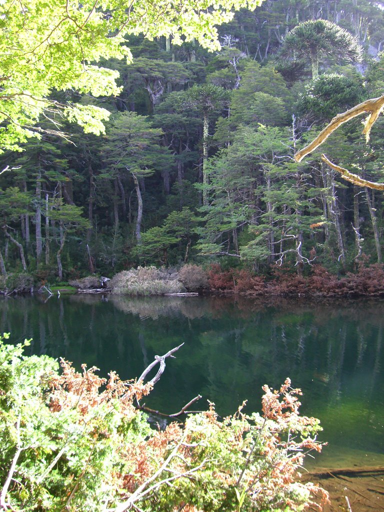 Colour Contrast in Chico Lagoon by JP Iturrieta