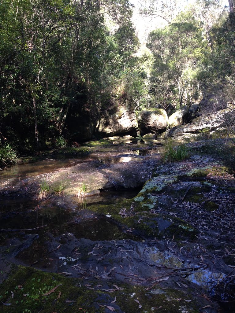 Forty Foot Falls track by Shambala Sun