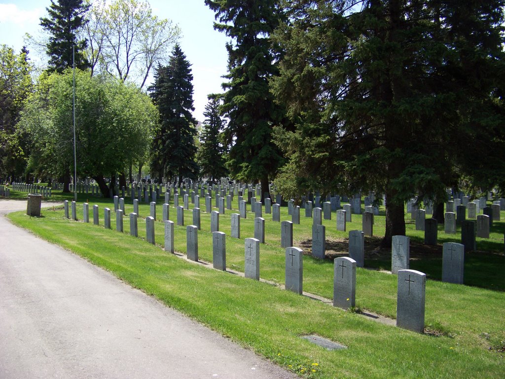 Field of Honour by bobinedmonton