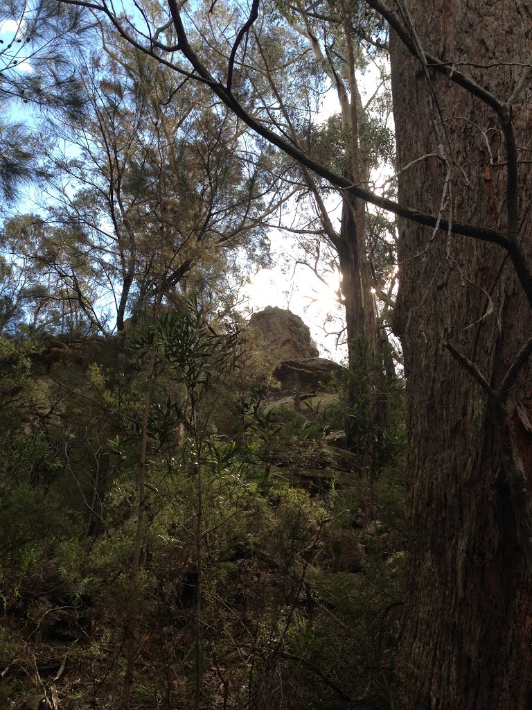 Forty Foot Falls track by Shambala Sun