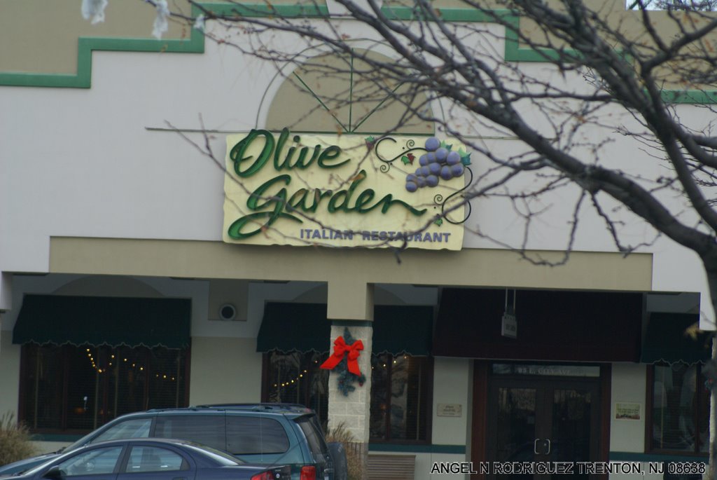 OLIVE GARDENS IN BALA CYNWYD SHOPPING CENTER by ANGEL N RODRIGUEZ