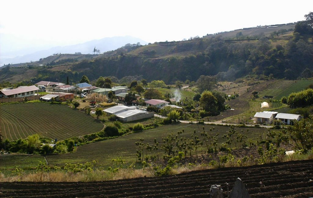 Valle de La Misión desde el Norte by Eduardo Gutiérrez