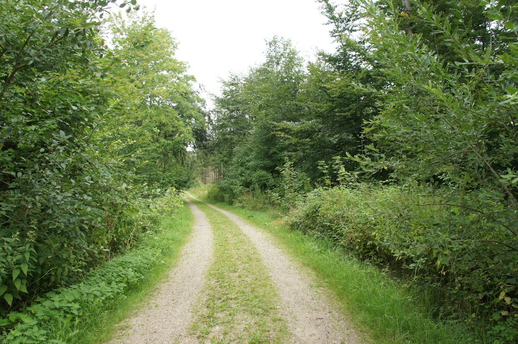 Østerskoven, Haderslev, 26 Juli 2014 by papkassen