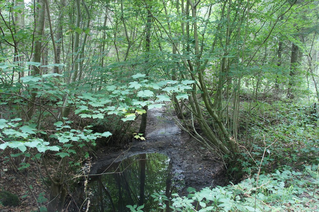 Østerskoven, Haderslev, 26 Juli 2014 by papkassen