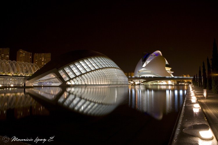 Ciutat de les Arts i les Ciències, València, Valencia, Spain by tiotuyin