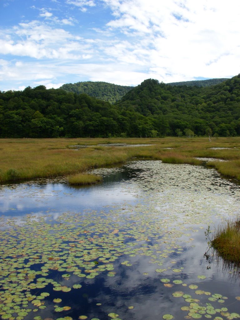 Tokura, Katashina, Tone District, Gunma Prefecture 378-0411, Japan by asami0509