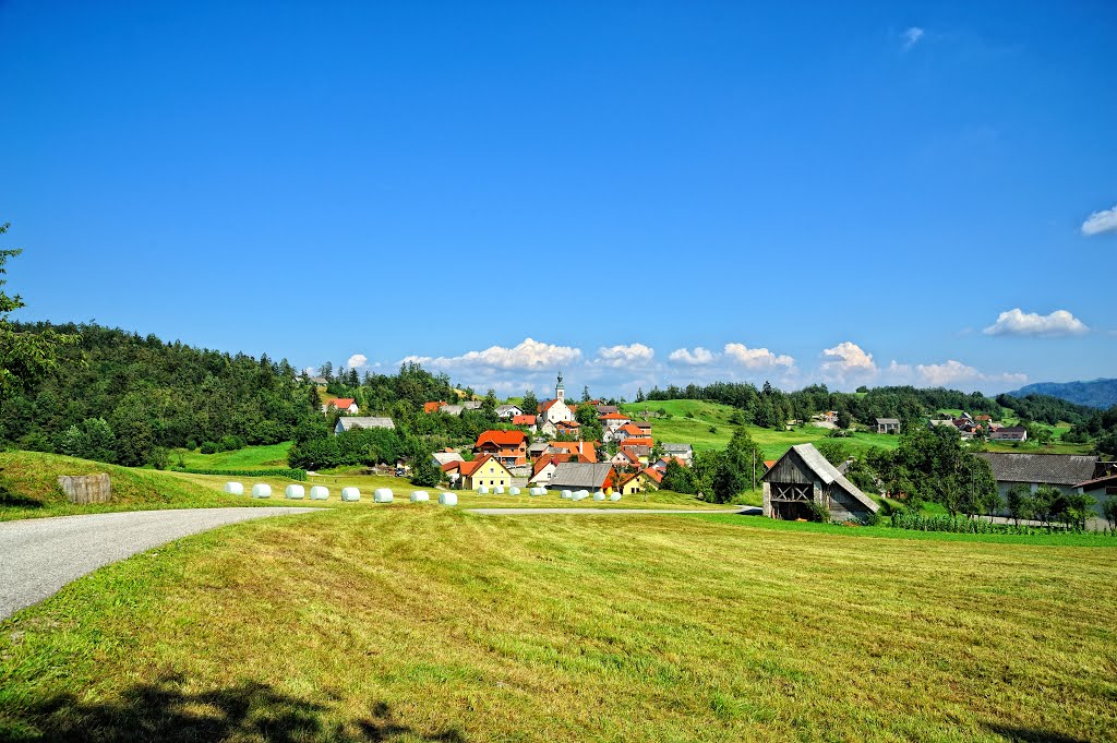 Šentviška Gora by Valter Erzetič