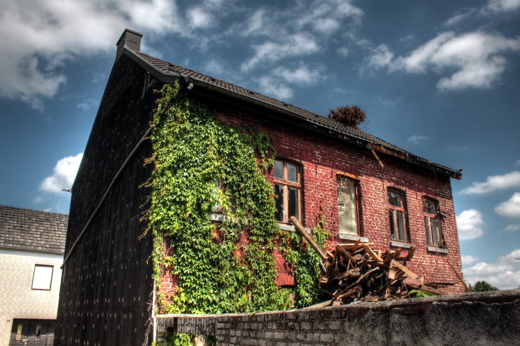 Holz, 41363 Jüchen, Germany by Ralf Es