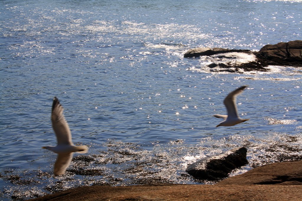 Birch Point State Park. by MementoMori