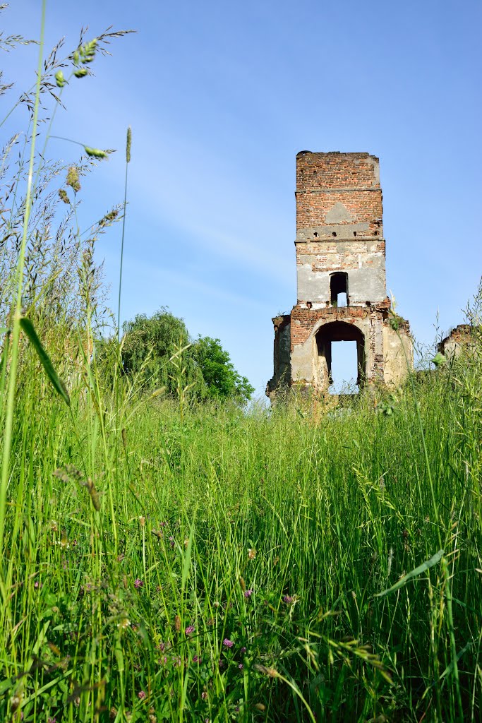 Poland, Schmolz, smolec, zamek by aurorajolanda - NO VIEW!