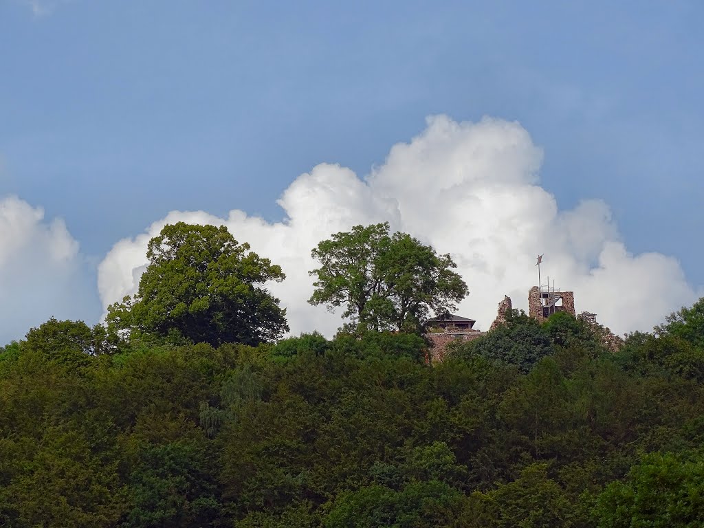 Blick zur Burg by Andreas B. Otte