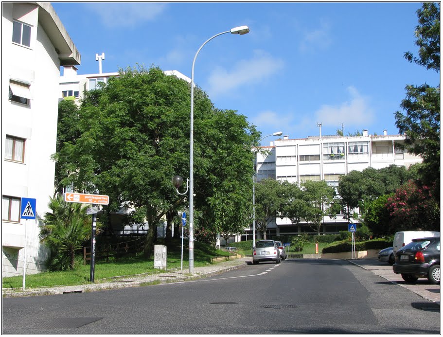 Avenida D. Luís I by Barragon