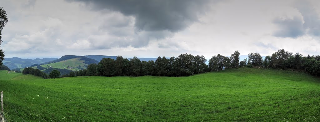 Chellenchöpfli Panorama, Juli 2014 by supraph2