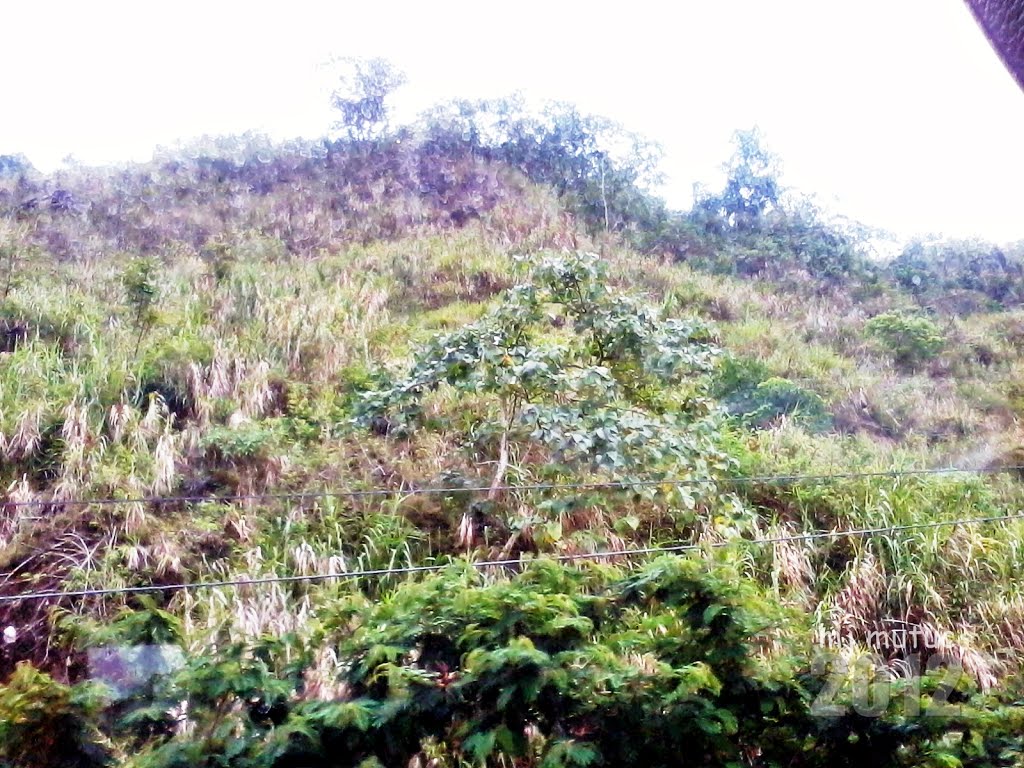 Kennon Road going up from La Union to Benguet • Baguio Getaway April 2012 • MJ Mutuc by The Walking Camera