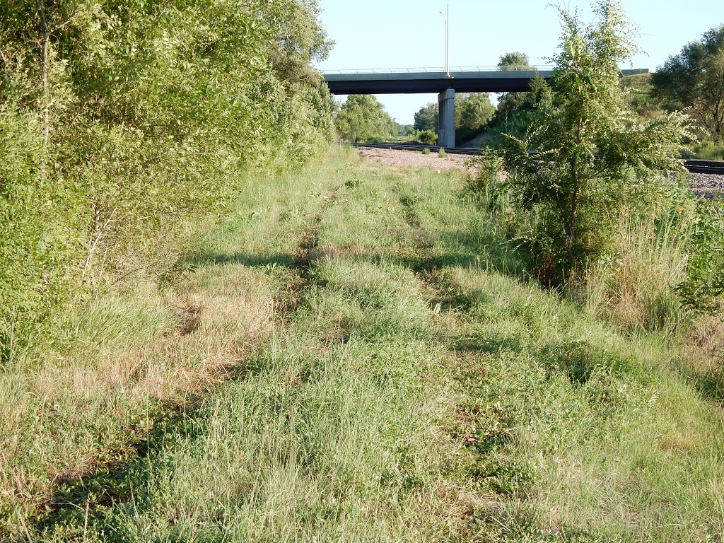 Jamaica North Trail Extension (east of tracks)? by jplnk