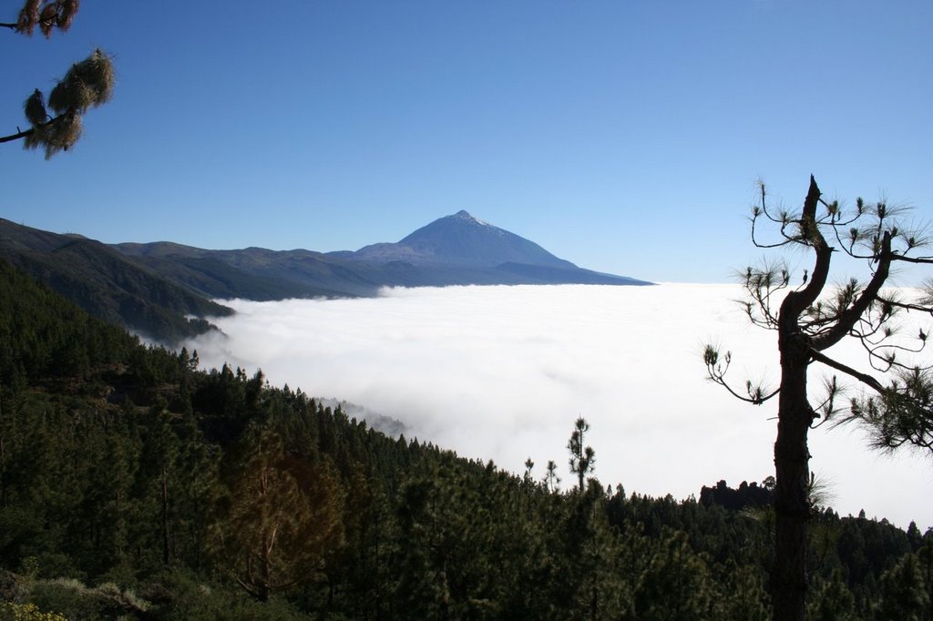 El Teide by Cenic