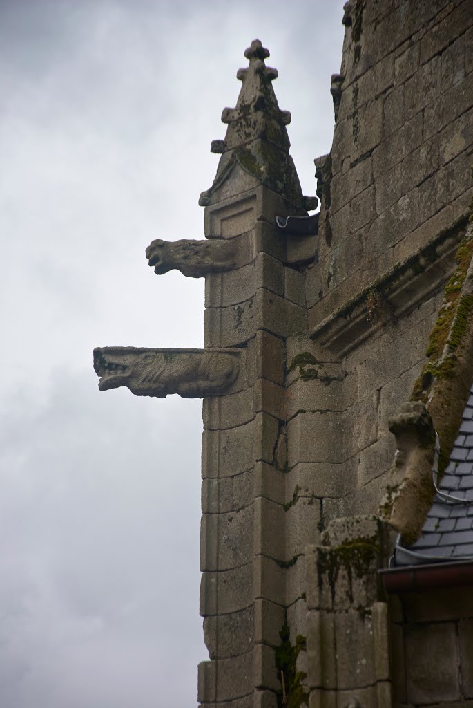 Gargoyles by Leon McNeill