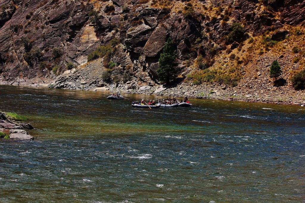 Rafts entering the Main Salmon from the Middle Fork at Trips End! by elkbender257