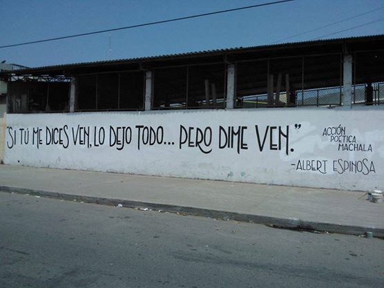 Vigésimo quinto mural ::: Acción Poética Machala. by belicucha