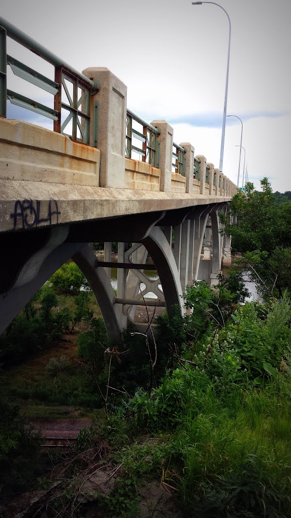 Mendota Bridge by Gabriel Vanslette