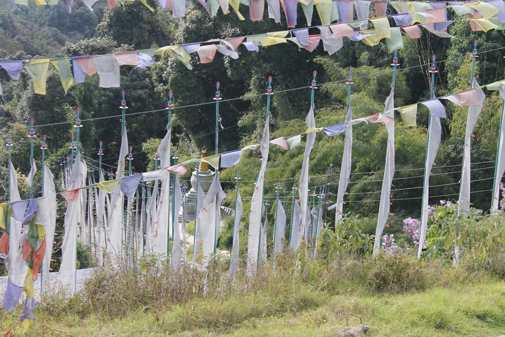 The Buddha Park in Sikkim by Rajesh Thakur-Ashram- N D -14 Ph-9953494940 by shishodia