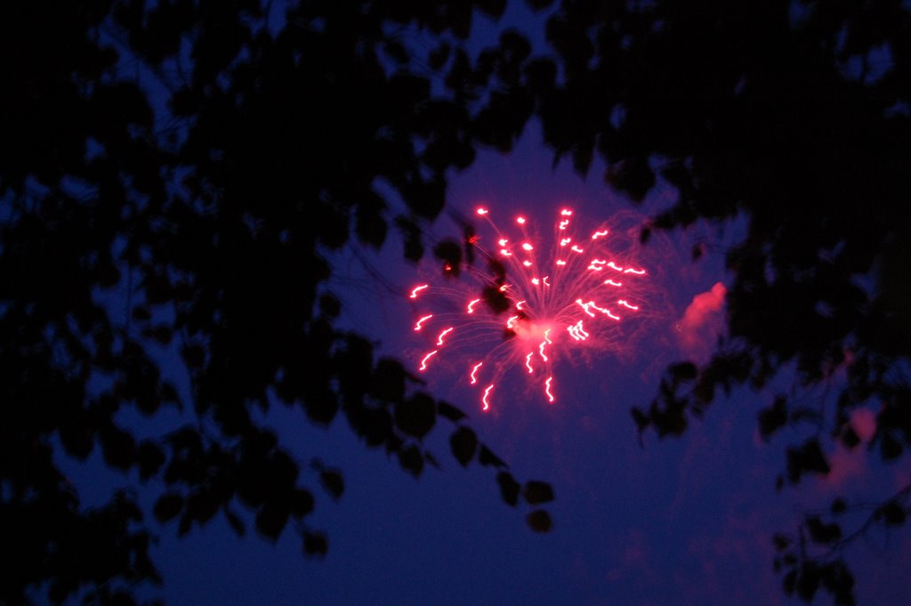 Alsterfeuerwerk rot by Al_Bundy