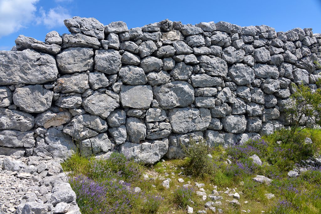 Oppidum de la Malle, détail du mur d'enceinte, Saint-Vallier-de-Thiey (environ 2600 ans). by herodote