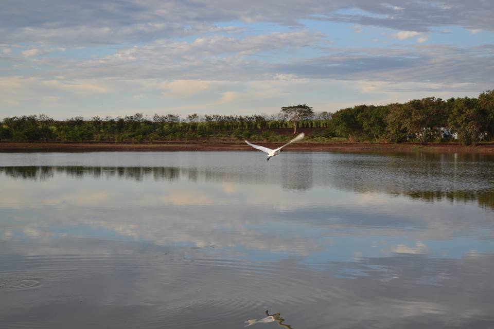 Lagoa da Vila Recreio by Tiago Henrique Garcia