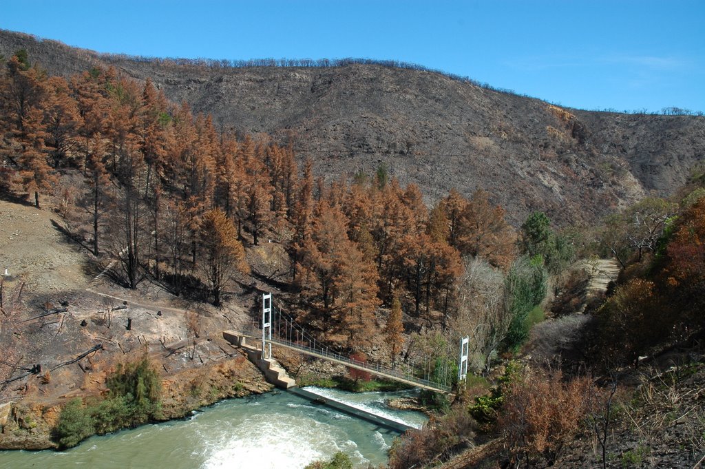 Bushfire aftermath at Mt Bold reservoir by admacc