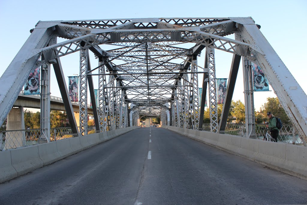 Calgary- Alberta- The Langevin Bridge 1910. by cheets99