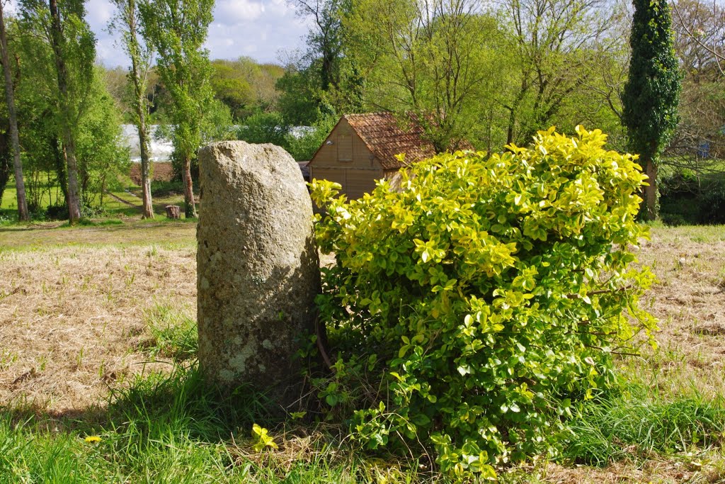 F 29 Plougastel-Daoulas. Stèle de l’Âge du Fer de Lanvrizan. by olier62. Olivier Malsy.