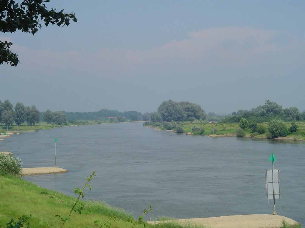 River IJssel, Dieren by ftagn