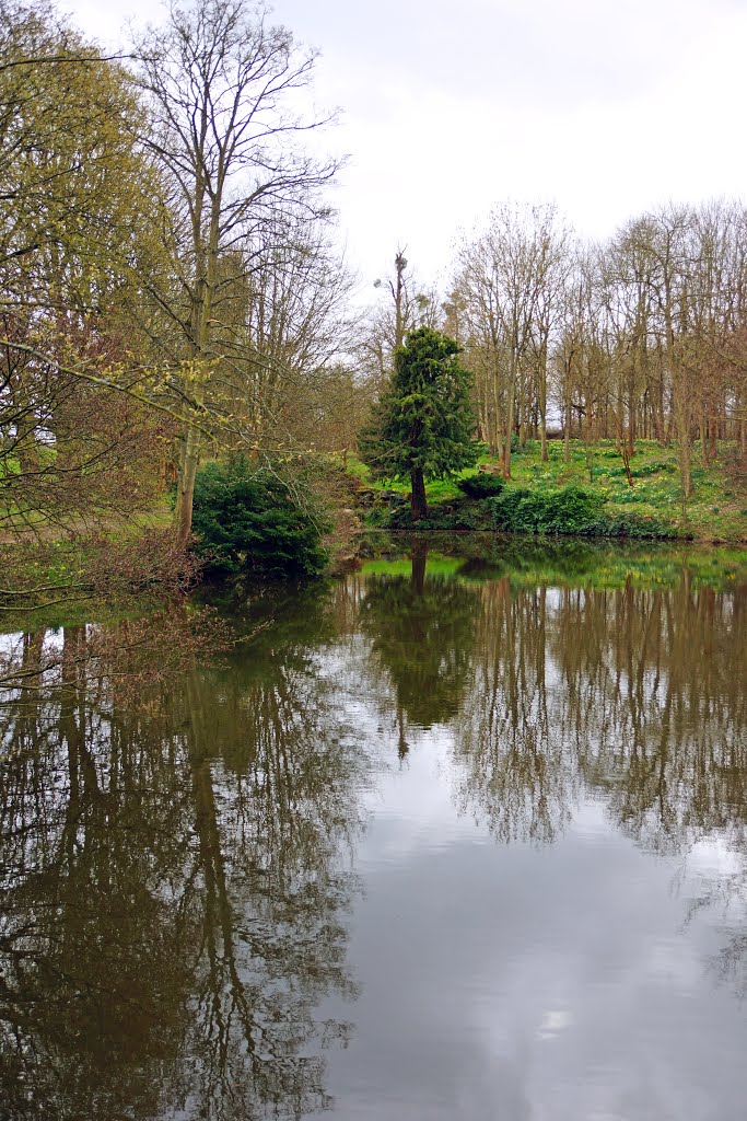 Reflections in the pond, Chiddingstone Castle by andreisss