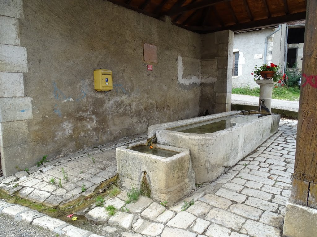 Fontaine-Lavoir à Ecorans commune de Collonges by philetisa