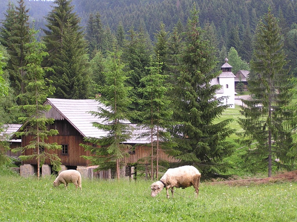 Museum of Kysuce's vilage, Vychylovka, Slovakia by Peter Masaryk