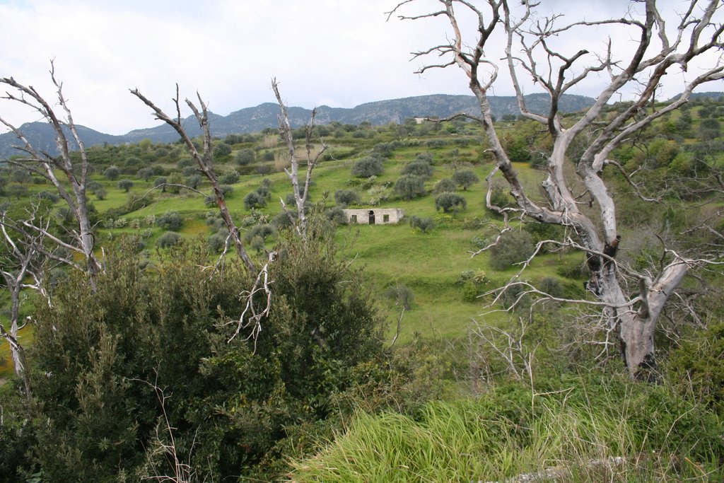 Casa di Campagna by Taverniti