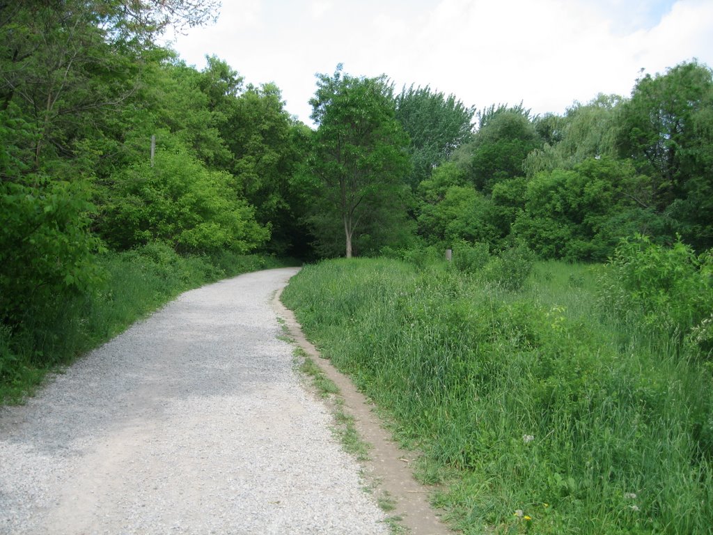 Butterfly Habitat off Park Drive Reservation - June, 2009 by p_m_y