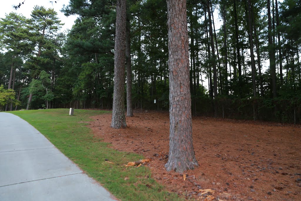 Stone Mountain Park Stonemont Golf Course by bryanf