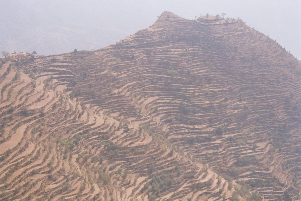 Farming at high altitude by balkrishna jakkal