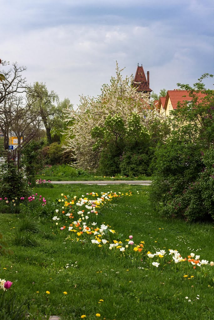 Mahla Str. im Frühling by Hans Schulder