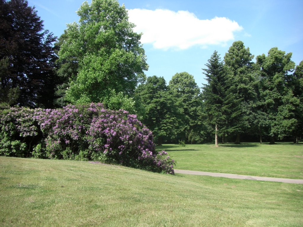 Schlosspark Schieder Juni by Kurfuerst