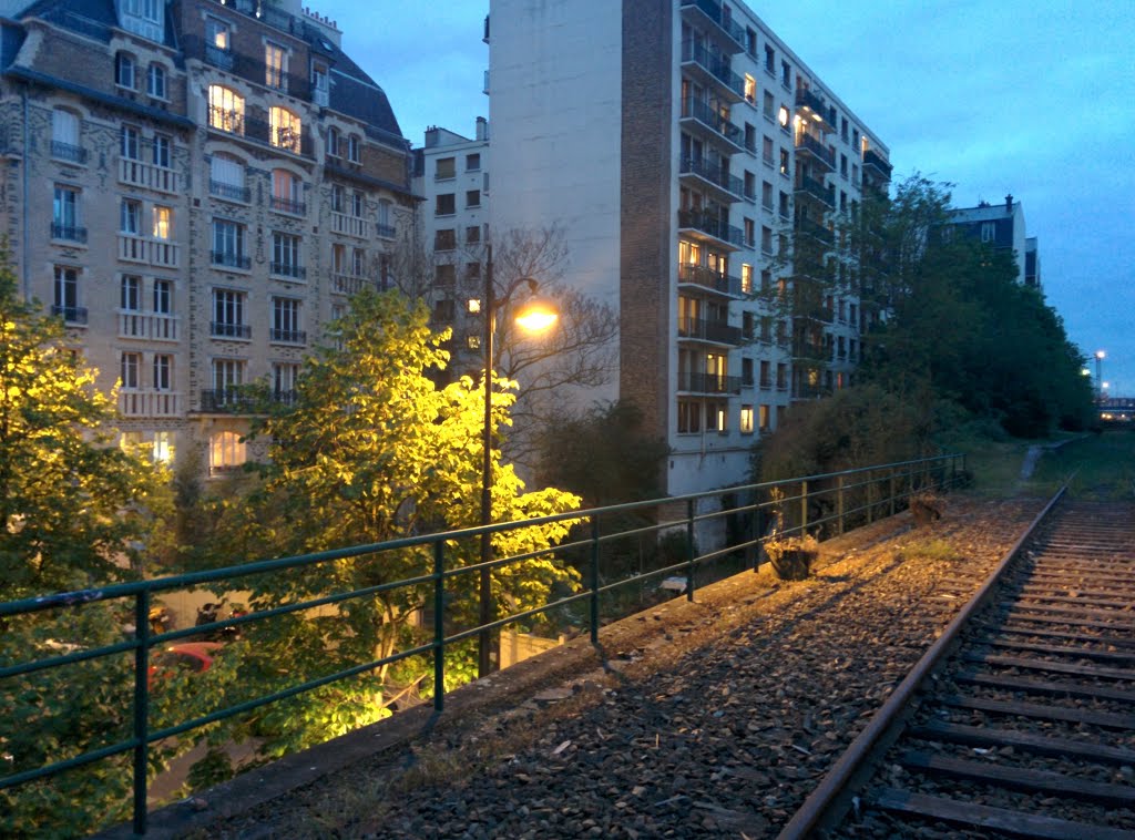 Petite ceinture by JeanMary